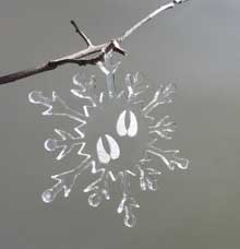 deer tracks snowflake
